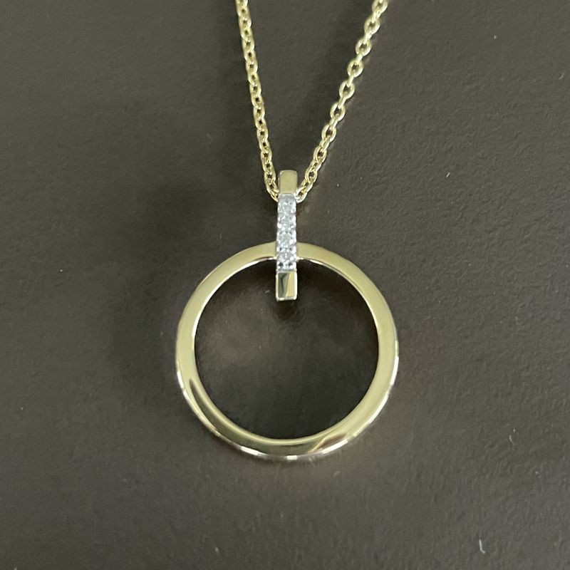 Vedhæng i 14 kt guld - Cirkel med brillanter 0,020ct incl. forgyldt kæde - 218 046BR5 - 1