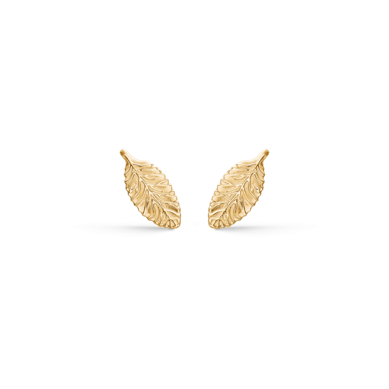 Ørestikker i 14kt. guld - Blad  - 70242846